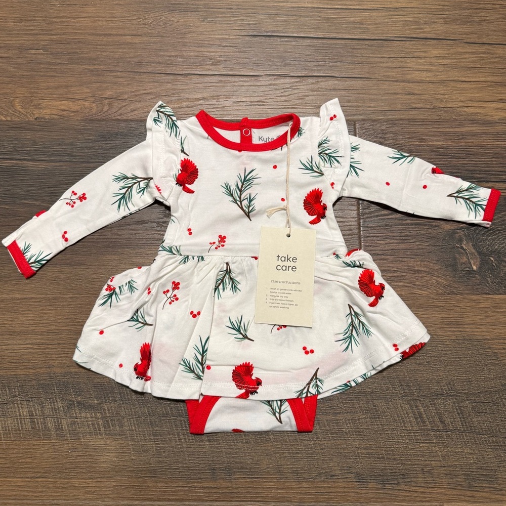 Kyte Baby Winterberry 0-3 Month Long Sleeve Twirl Bodysuit Dress